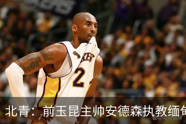 北青：前玉昆主帅安德森执教缅甸国家队，亚洲足坛执教履历丰富