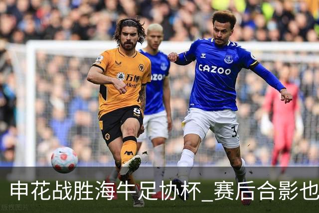 申花战胜海牛足协杯 赛后合影也是见到盖伊