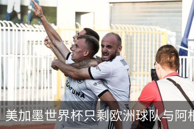美加墨世界杯只剩欧洲球队与阿根廷队