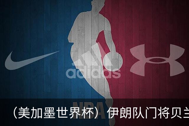 （美加墨世界杯）伊朗队门将贝兰万德的“满分”