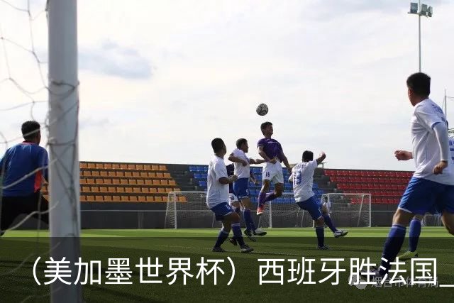 （美加墨世界杯）西班牙胜法国 队史第二次闯入世界杯决赛
